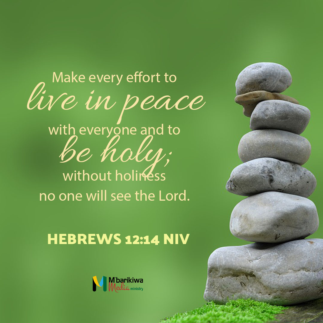 Hebrews 12:14 NIV